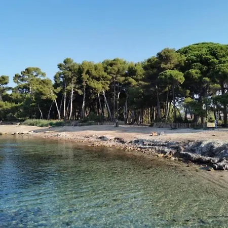 Apartment 200 M De La Jardin Calme Saint-Mandrier-sur-Mer