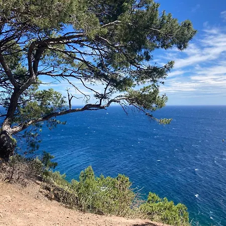 200 M De La Jardin Calme Appartamento Saint-Mandrier-sur-Mer
